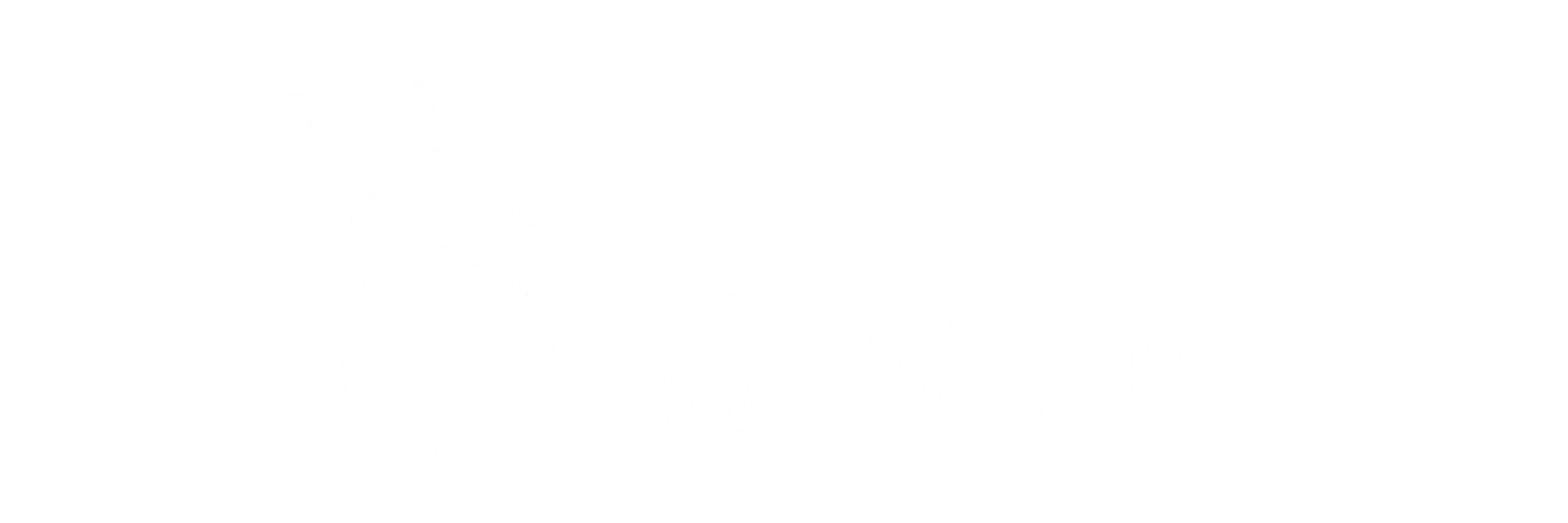 Blind Man Dan